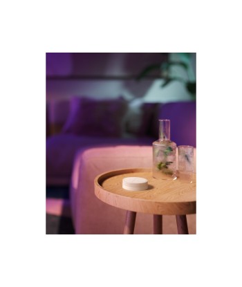 Philips Hue Tap dial switch white