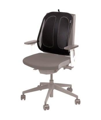 Fellowes Võrk Seljatoega Tool - Ergonoomiline Mugavus ja Rüht