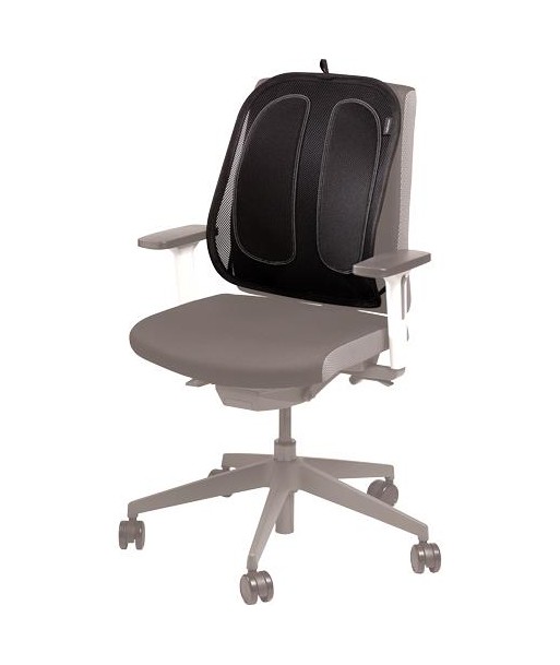 Fellowes Võrk Seljatoega Tool - Ergonoomiline Mugavus ja Rüht