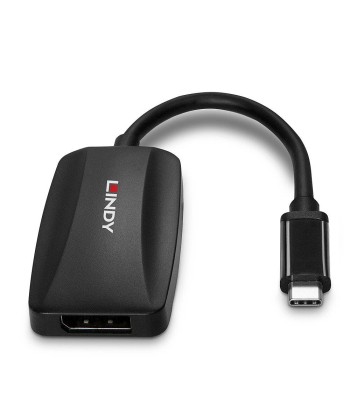 Lindy I/O Converter USB-C to DisplayPort 4K/60Hz - Seamless Display Connection