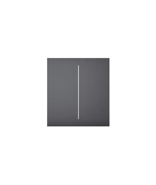 SMART CENTERBUTTON 2G/GRAPHITE 46028 AJAX