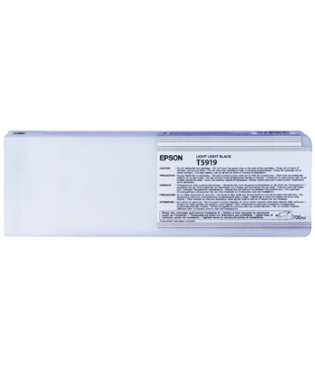 Epson T591900 Ink cartrige, Light Light Black