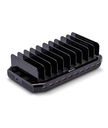 Lindy 10-Port USB Charging Station - Power All Your Devices!
