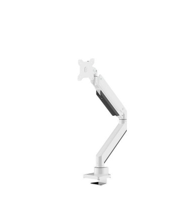 Neomounts NM-D775WHITEPLUS Lauakinnitus 10-49" Monitoritele - Valge