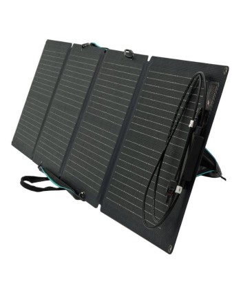 EcoFlow 110W Päikesepaneel - Kaasaskantav ja Tõhus Toide