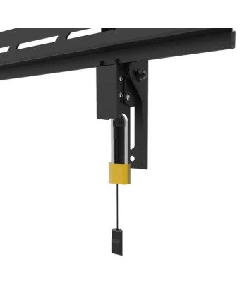 Neomounts WL35S-950BL19 TV Wall Mount