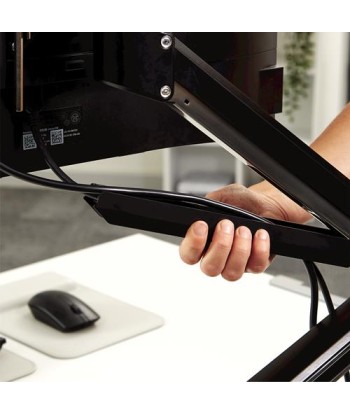 Fellowes Tallo Dual Monitor Arm - Black
