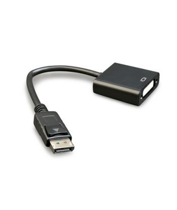 Gembird DisplayPort - DVI-D adapterikaabel - 0.1m