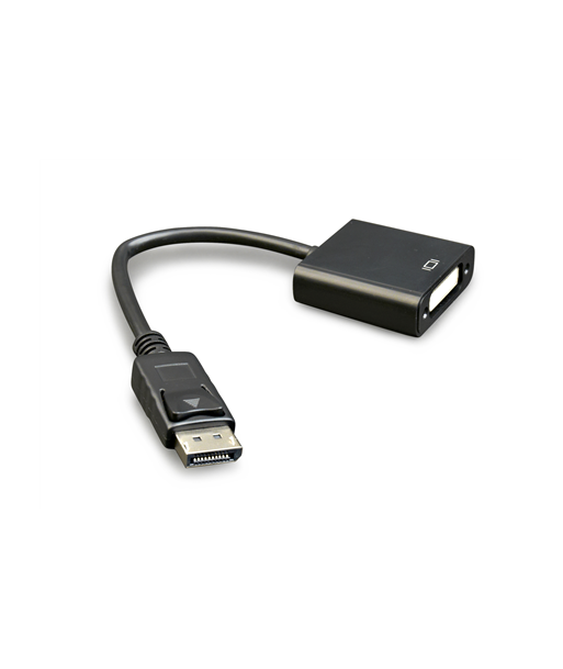 Gembird DisplayPort - DVI-D адаптер - 0.1m