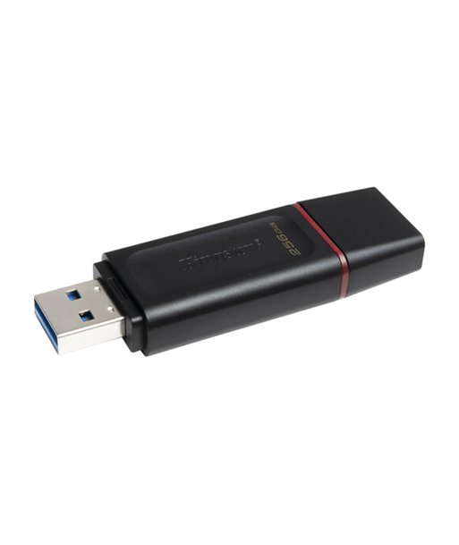 Kingston DataTraveler Exodia 256GB