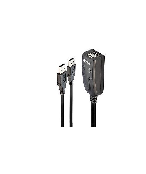 NET SWITCH KVM USB 2PORT/32165 LINDY