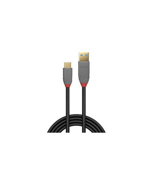 Lindy USB 3.2 Type-A to Type-C Cable 0.5m - Anthra