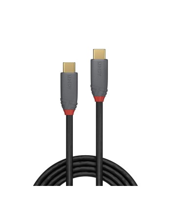 Lindy USB 3.2 Gen 2 Type-C to Type-C kaabel, 1.5m, antratsiit