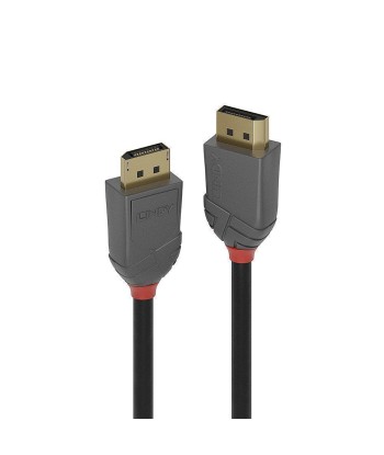 Кабель Lindy DisplayPort 2м - Anthra Line
