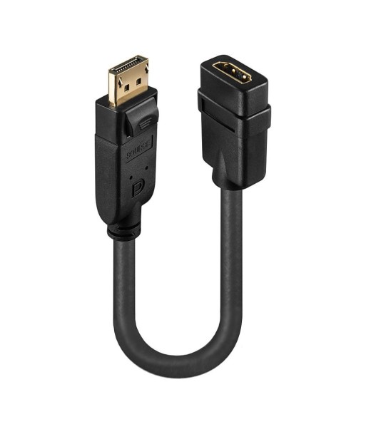 Lindy DisplayPort-HDMI конвертер - Наслаждайтесь потрясающими визуальными эффектами! Lindy DisplayPort-HDMI конвертер - Наслаждайтесь потрясающими визуальными эффектами!