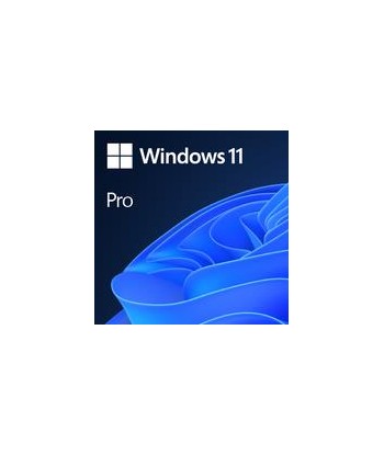 Software MICROSOFT Win 11 Pro GGK 64Bit Eng Intl 1pk DSP ORT OEI DVD Win Pro OEM English 4YR-00316