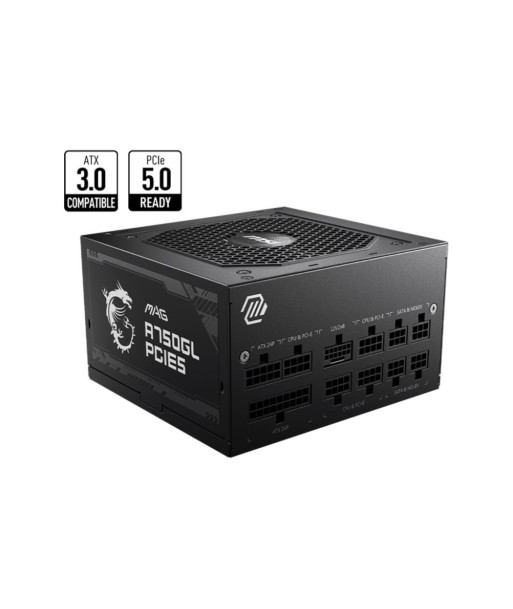 Power Supply MSI 750 Watts Efficiency 80 PLUS GOLD PFC Active MAGA750GLPCIE5