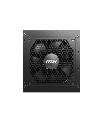 Power Supply MSI 750 Watts Efficiency 80 PLUS GOLD PFC Active MAGA750GLPCIE5