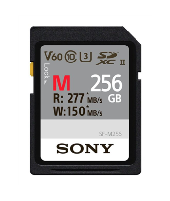 Atminties kortele Sony SDXC Professional 256GB Class 10 UHS-II