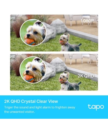 WRL CAMERA SMART H.264/TAPO C420S2 TP-LINK