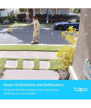 WRL CAMERA SMART H.264/TAPO C420S2 TP-LINK