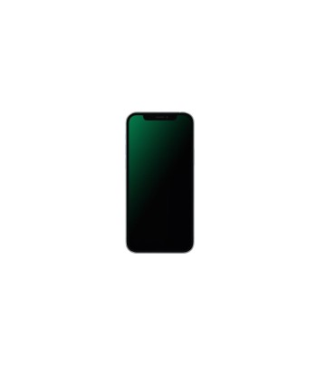 Nutitelefon IPHONE 12 PRO MAX/SILV. RND-P212128 APPLE RENEWD