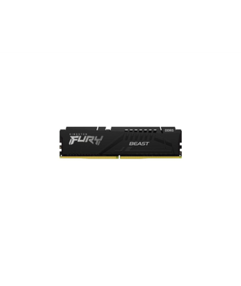 Kingston   32 GB   DDR5   5600 MHz   PC/server   Registered No   ECC No