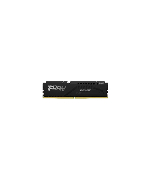 Kingston   32 GB   DDR5   5600 MHz   PC/server   Registered No   ECC No