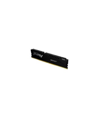 Kingston   32 GB   DDR5   5600 MHz   PC/server   Registered No   ECC No