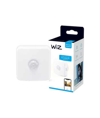 MOTION SENSOR EU Wizarding World