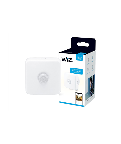 MOTION SENSOR EU Wizarding World