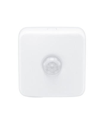 MOTION SENSOR EU Wizarding World