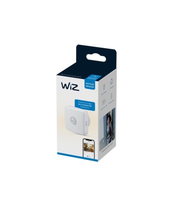 MOTION SENSOR EU Wizarding World