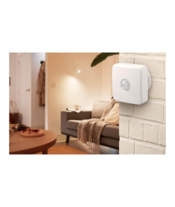 MOTION SENSOR EU Wizarding World