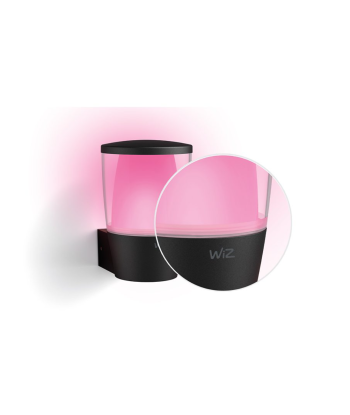 Уличный настенный светильник с камерой WiZ Smart WiFi Wizarding World