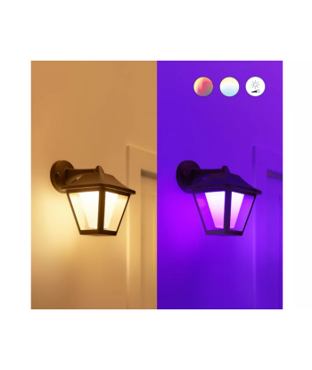WiZ Smart WiFi Outdoor Wall Light Classic Wizarding World
