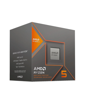 AMD Ryzen 5 8600G BOX