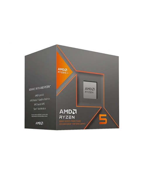 AMD Ryzen 5 8600G BOX