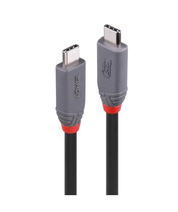 Lindy CABLE USB4 240W Type C 1.5M/40Gbps Anthra