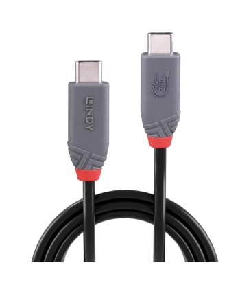 Lindy CABLE USB4 240W Type C 1.5M/40Gbps Anthra