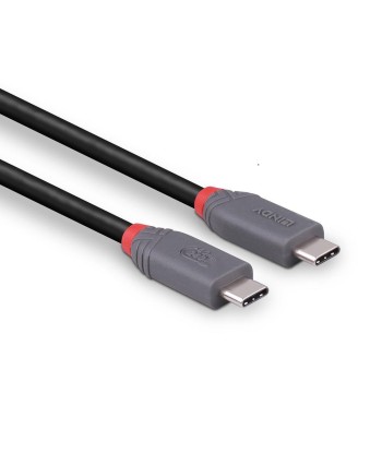 Lindy CABLE USB4 240W Type C 1.5M/40Gbps Anthra