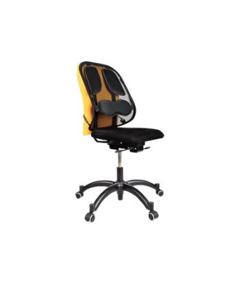 Fellowes Professional Seljatoe Tugivõrk - Nimmetugi Ergonoomiliseks Mugavuseks