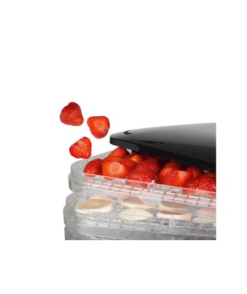 Дегидратор Princess 112380 FD Power 245 W Number of trays 6 Temperature control Black