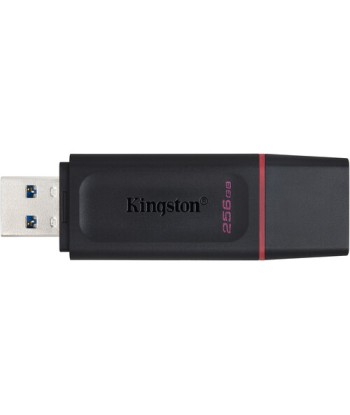 Kingston DataTraveler Exodia 256GB