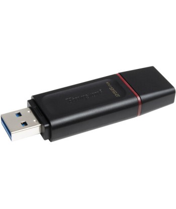 Kingston DataTraveler Exodia 256GB