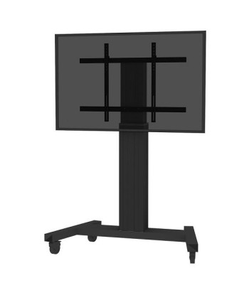 TV SET ACC FLOOR STAND 42-100"/PLASMA-M2250BLACK NEOMOUNTS